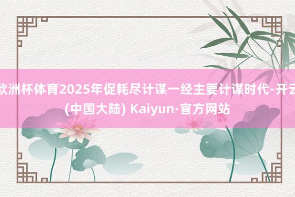 欧洲杯体育2025年促耗尽计谋一经主要计谋时代-开云(中国大陆) Kaiyun·官方网站