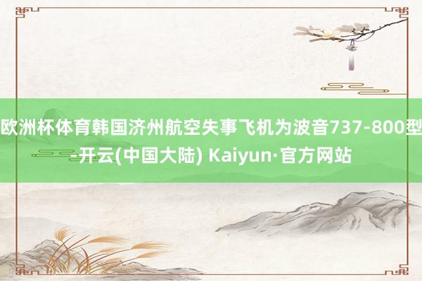 欧洲杯体育韩国济州航空失事飞机为波音737-800型-开云(中国大陆) Kaiyun·官方网站