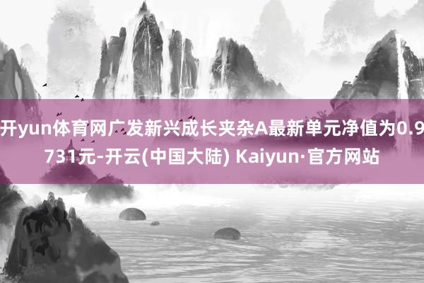 开yun体育网广发新兴成长夹杂A最新单元净值为0.9731元-开云(中国大陆) Kaiyun·官方网站
