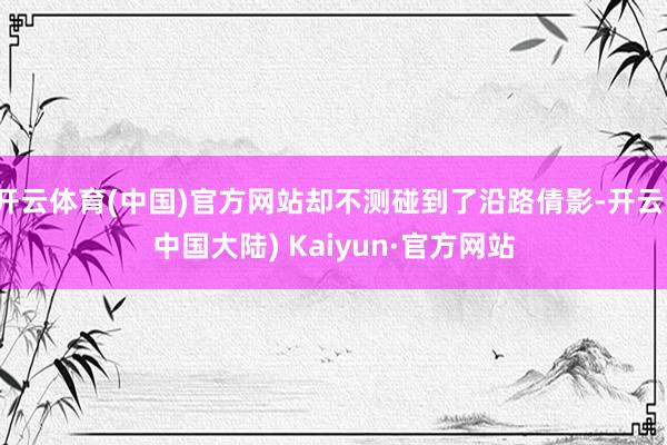 开云体育(中国)官方网站却不测碰到了沿路倩影-开云(中国大陆) Kaiyun·官方网站