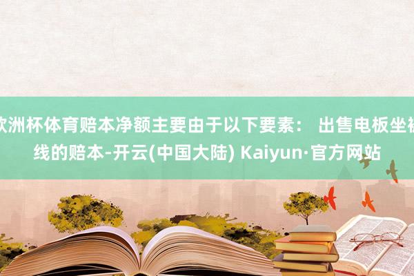 欧洲杯体育赔本净额主要由于以下要素： 出售电板坐褥线的赔本-开云(中国大陆) Kaiyun·官方网站