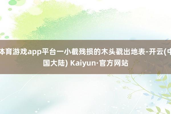 体育游戏app平台一小截残损的木头戳出地表-开云(中国大陆) Kaiyun·官方网站