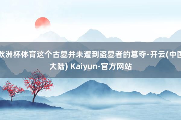 欧洲杯体育这个古墓并未遭到盗墓者的篡夺-开云(中国大陆) Kaiyun·官方网站