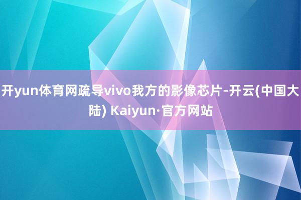 开yun体育网疏导vivo我方的影像芯片-开云(中国大陆) Kaiyun·官方网站