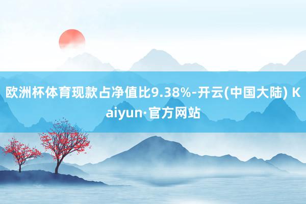 欧洲杯体育现款占净值比9.38%-开云(中国大陆) Kaiyun·官方网站