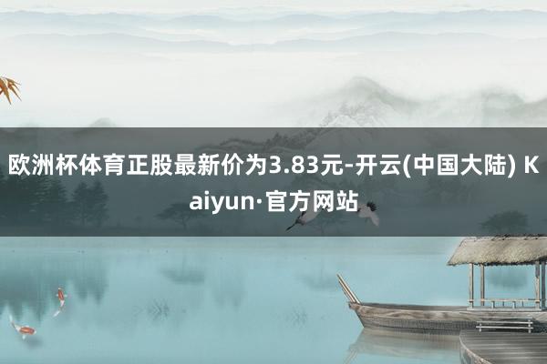 欧洲杯体育正股最新价为3.83元-开云(中国大陆) Kaiyun·官方网站