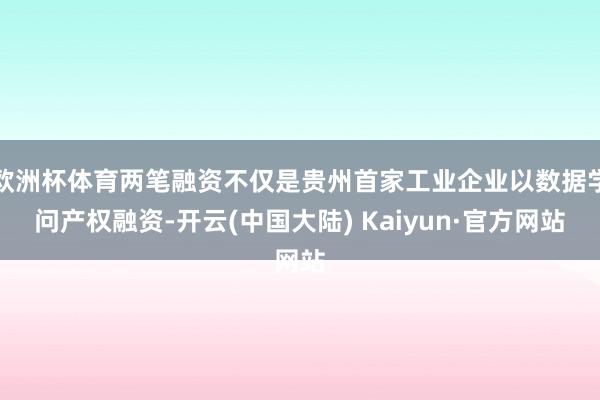 欧洲杯体育两笔融资不仅是贵州首家工业企业以数据学问产权融资-开云(中国大陆) Kaiyun·官方网站