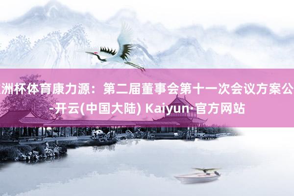 欧洲杯体育康力源：第二届董事会第十一次会议方案公告-开云(中国大陆) Kaiyun·官方网站