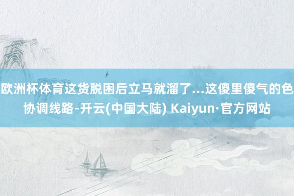 欧洲杯体育这货脱困后立马就溜了...这傻里傻气的色协调线路-开云(中国大陆) Kaiyun·官方网站