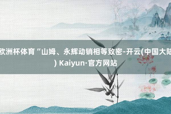 欧洲杯体育“山姆、永辉动销相等致密-开云(中国大陆) Kaiyun·官方网站