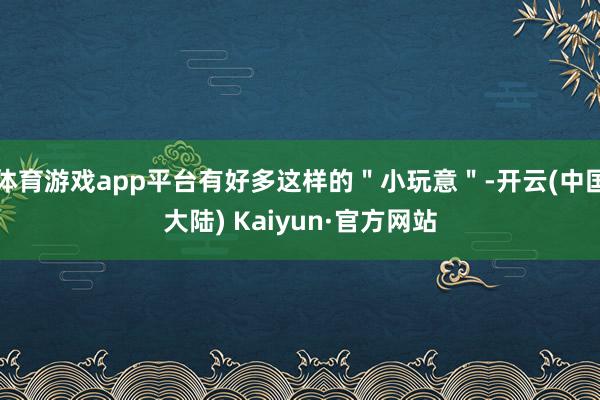 体育游戏app平台有好多这样的＂小玩意＂-开云(中国大陆) Kaiyun·官方网站