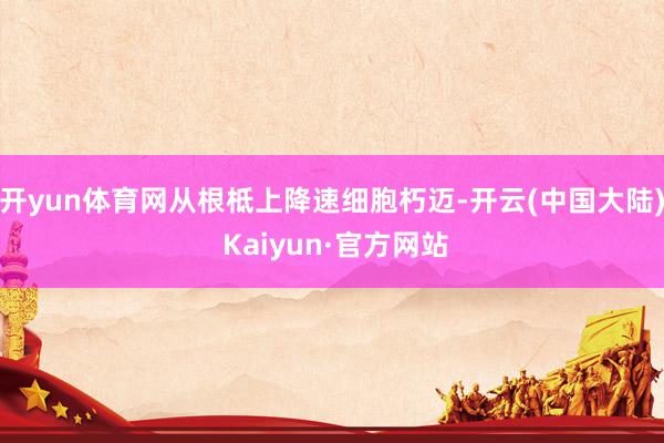 开yun体育网从根柢上降速细胞朽迈-开云(中国大陆) Kaiyun·官方网站