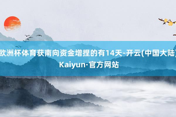欧洲杯体育获南向资金增捏的有14天-开云(中国大陆) Kaiyun·官方网站