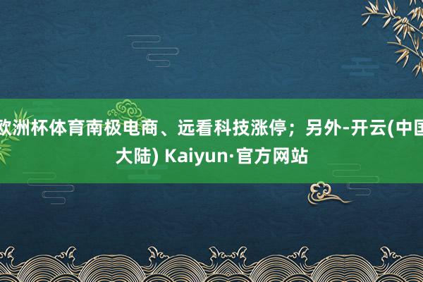 欧洲杯体育南极电商、远看科技涨停;另外-开云(中国大陆) Kaiyun·官方网站
