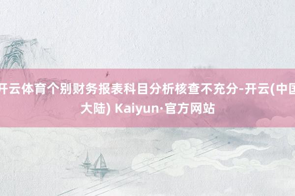 开云体育个别财务报表科目分析核查不充分-开云(中国大陆) Kaiyun·官方网站
