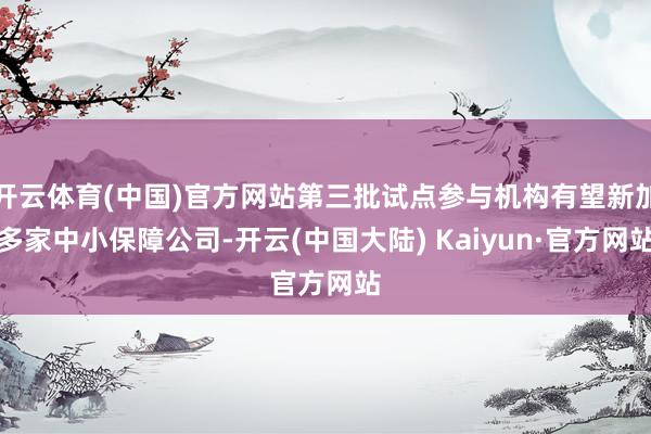开云体育(中国)官方网站第三批试点参与机构有望新加多家中小保障公司-开云(中国大陆) Kaiyun·官方网站