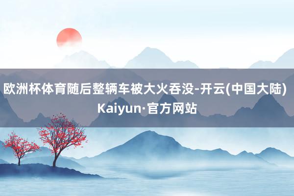 欧洲杯体育随后整辆车被大火吞没-开云(中国大陆) Kaiyun·官方网站