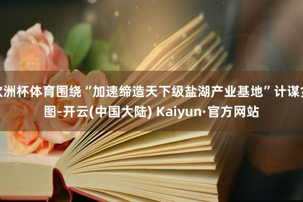 欧洲杯体育围绕“加速缔造天下级盐湖产业基地”计谋贪图-开云(中国大陆) Kaiyun·官方网站