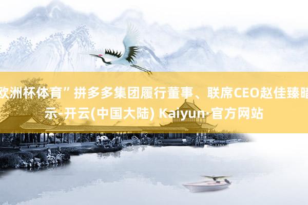 欧洲杯体育”拼多多集团履行董事、联席CEO赵佳臻暗示-开云(中国大陆) Kaiyun·官方网站